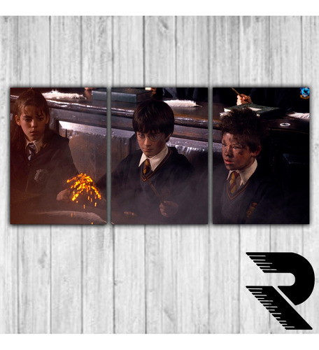 Cuadro De Harry Potter 1 | 5 | Triptico