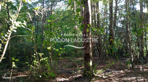 Parcela A Minutos Del Lago Caburgua (171363)