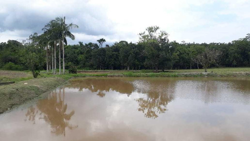 Imagem 7 de 15 de Sítio / Chácara Para Venda Em Paranaguá, Zona Rural, 6 Dormitórios, 3 Banheiros, 1 Vaga - 57_2-1158859