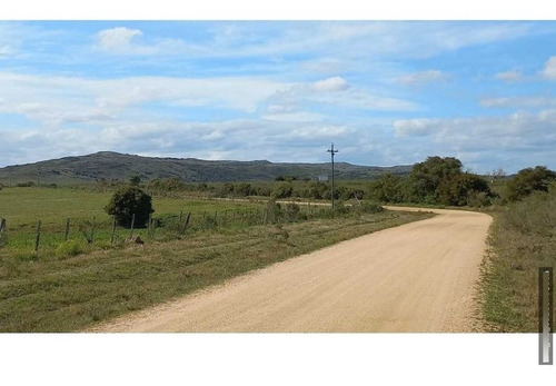 Imagen 20 de 23 de Chacra 8 Ha En San Carlos, Punta Del Este Zona Corte De La Leña Cañada Bellaca