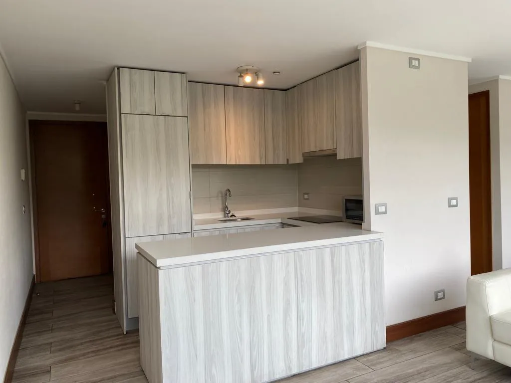 Imagen 1 de 11 de Departamento Amoblado De 1 Ambiente | Metro Inés De Suárez |