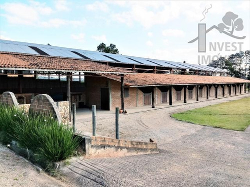 Imagem 5 de 15 de Cód 4283- Magnifico Haras Em Ibiúna Com 80.000 M². - 4283