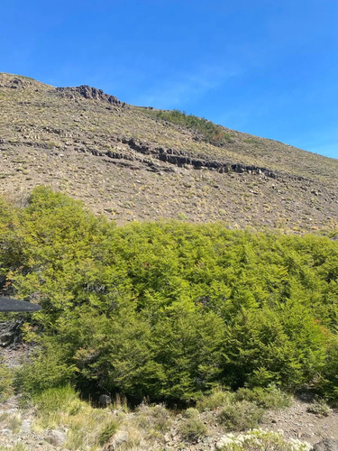 A 20 Km De Antuco/ Camino Internacional Pichachén