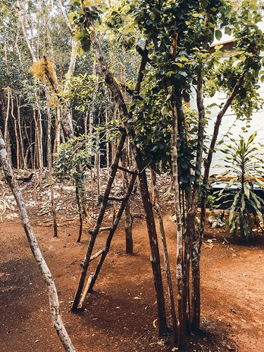 Imagen 21 de 30 de Lote De 1 Hectárea En Comunidad Eco Sustentable En Tulum P1970