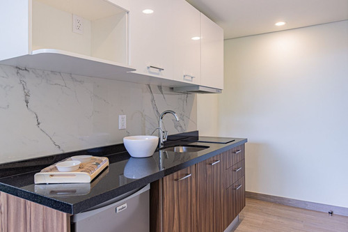 Exclusivo Desarrollo Residencial Tipo Loft, Colonia Guadalupe Inn