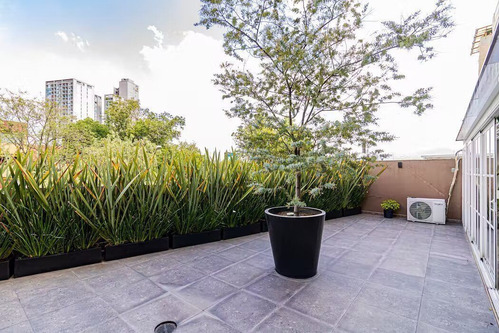 Imagen 12 de 23 de Garden House Ubicado En Coyoacan