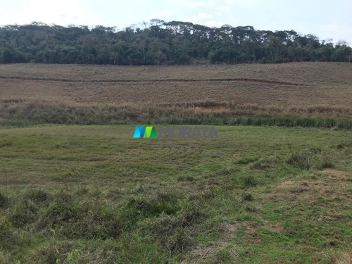 Imagem 8 de 15 de Fazenda - Zona Rural - Ref: 5241 - V-mta5241