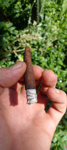 Blunt Natural - El Paisanal X 5 Unidades Natural