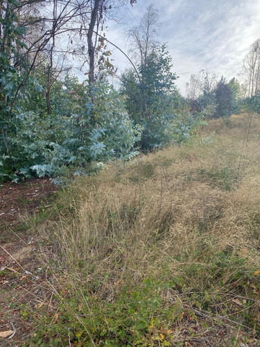 Vendo Parcela 1 Ha A 4,5 Km Peaje Lateral Rafael Oriente