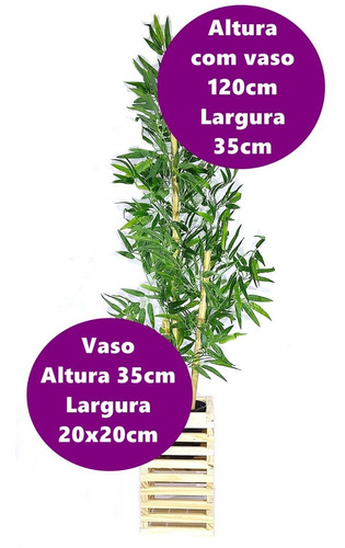 Imagem 2 de 6 de Bambu Semi Artificial
