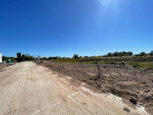 Imagen 4 de 13 de Terreno - Dique Lujan