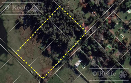 Imagen 24 de 28 de Quinta En Venta En Abasto, Con Casa De Campo Sobre Lote De 26.103 M2