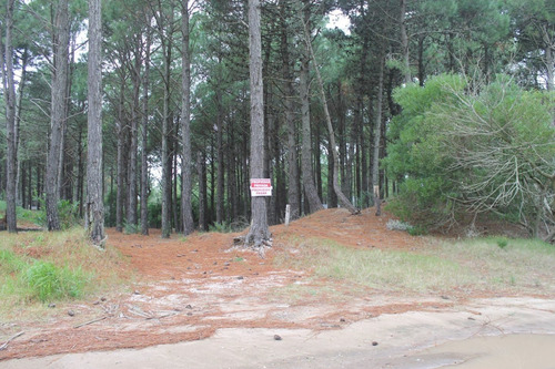Imagen 1 de 2 de Lote En Venta - Zona Penelope / Ref: 1521