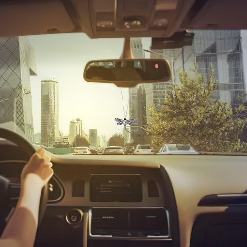 Accesorios Para Colgar En El Coche Bling Dragonfly: Crystal