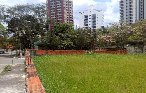 Imagem 7 de 9 de Terreno À Venda, Jardim Avelino, Com 551m² De Área , Plano, Pronto Para Construir, Esquina - Sp - Te0206_prst