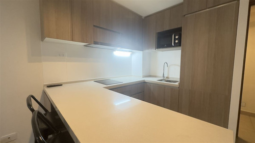 Departamento Amoblado En Arriendo 1 Dormitorio Laguna Centro