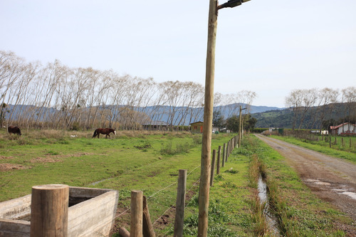 Venta Parcelas Nenquen, Santa Cruz.