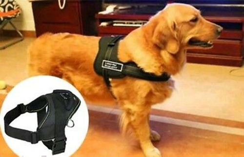 Pechera Para Perros Arnes Sports Dog Harness Set Rosado