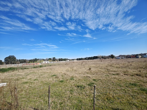 Zona La Rural - A Metros De Pedersen