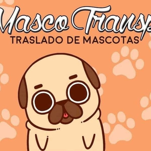 Imagen 2 de 6 de Traslado Y Transporte De Mascotas Cordoba Y Todo El Pais