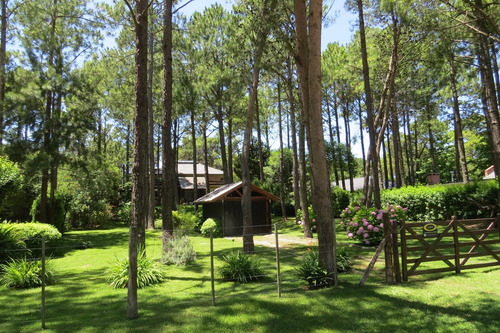 Hermoso Lote - Zona Tridente - De Las Musas - Parquizado - 712 M²