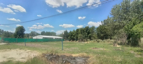 Imagen 3 de 5 de Lote En Venta Los Pinos Exaltacion De La Cruz
