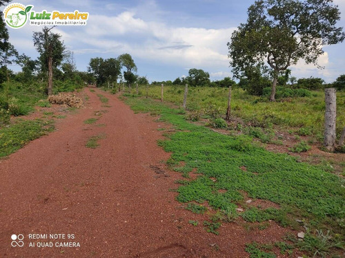 Imagem 11 de 15 de Fazenda Em Breu Branco - Pa - 2.584,56 Hectares (dupla Aptidão) - 2158