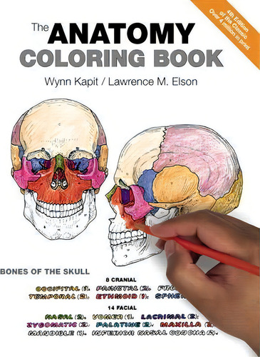 The Anatomy Coloring Book, De Wynn Kapit., Vol. 1. Editorial Pearson Education (us), Tapa Blanda En Inglés