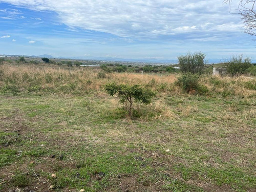 Imagen 7 de 8 de Terreno En Venta En Atlatahuan, Morelos