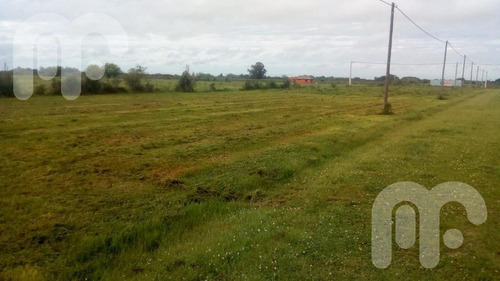 Imagen 12 de 19 de Terreno - La Plata