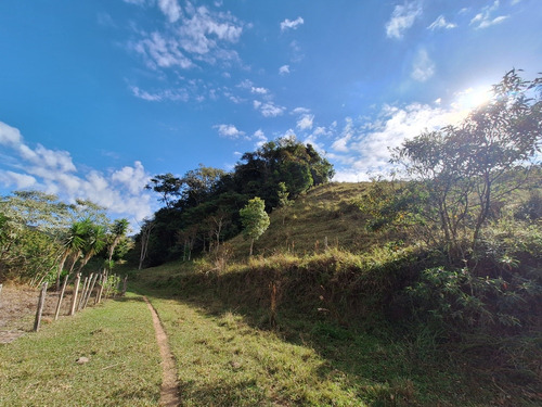 Sitio A Venda; 3.5 Alqueires De Terra No Sítio Tem Mina De Á