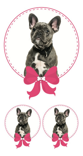 Sticker Mascota Bull Dog Frances Niña 3 Pza P/ Personalizar