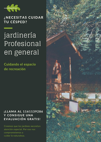 Imagen 3 de 5 de Servicio Profesional De Jardinería