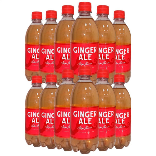 Gaseosa Pulpo Blanco Ginger Ale Pack X12 - 01almacen
