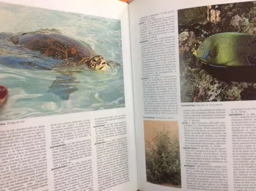 Enciclopedia Ilustrada - Diccionario - Botánica - Zoología (Usado)