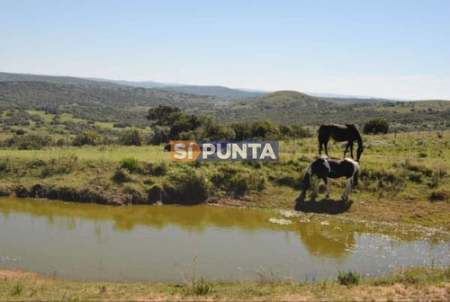 Chacra A La Venta Ruta 39, Camino Cerro Catedral