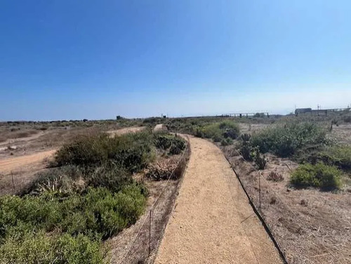 Guanay, Lindo Sitio (158662)