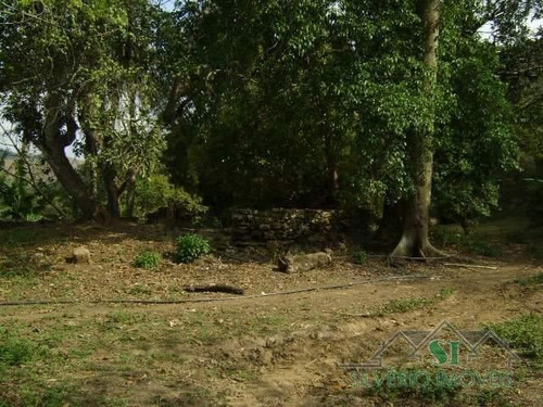 Terreno- Paraíba Do Sul, Gragoatá - 3188