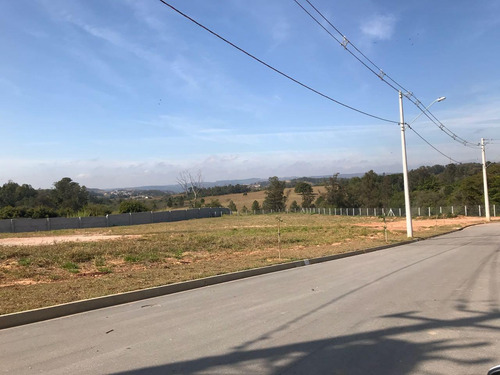 Imagem 6 de 9 de Terreno - Ref: Te-16