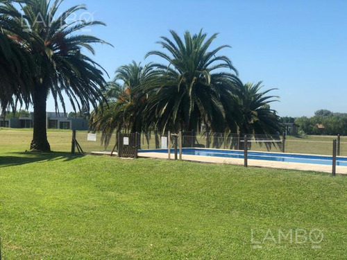 Imagen 4 de 20 de Venta Lote Manzanares La Ranita