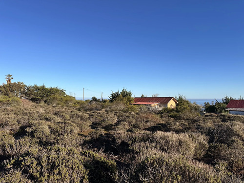 Parcela Plana 5000mts2 A 5min Caleta Totoralillo