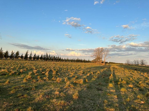 Terreno En  El Molino, Club De Campo