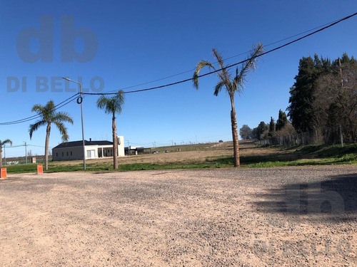 Imagen 11 de 21 de Venta De Lotes En Zarate Golf Park