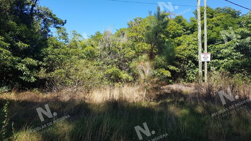 Imagen 2 de 5 de Terreno En Punta Ballena, Portezuelo Bosque - Punta Ballena Portezuelo Bosque