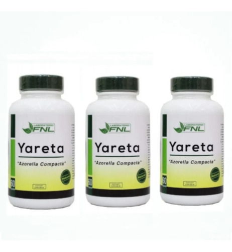 Yareta 3x60 Cápsulas 300mg  Depurador Diabetes Natural