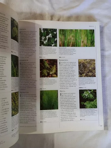 Brown: Enciclopedia De Las Hierbas Y Sus Usos