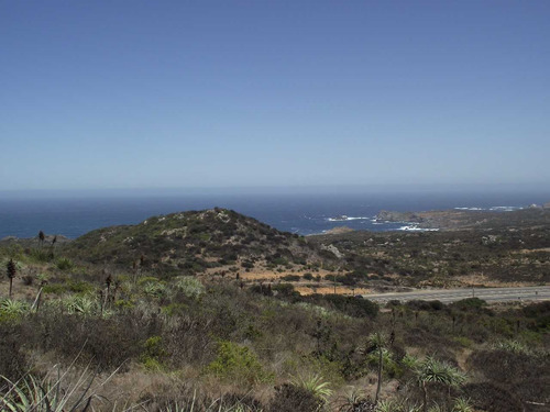 Oportundiad Venta Parcela,los Molles. (91383)