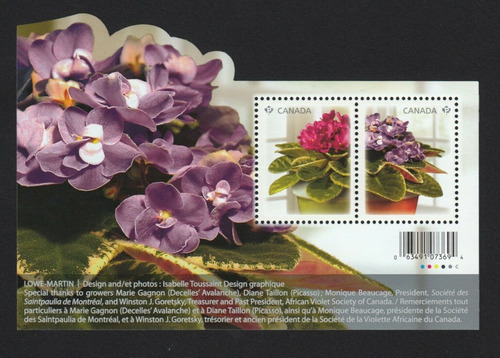 Imagen 1 de 1 de Canadá 2010 : Flores , Flora , Violeta Africana