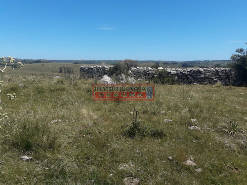 Imagen 2 de 16 de Campo En Carape - Departamento De Maldonado