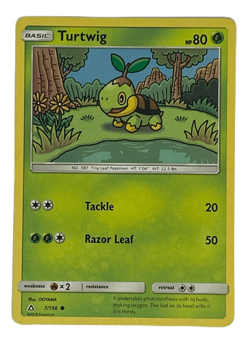 Turtwig Carta Pokémon Original Tcg Inglés